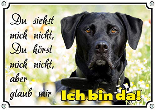 EIN edles Hundeschild mit einem schwarzen Labrador Retriever - TOP Warnschild uv-beständig, DIN A4