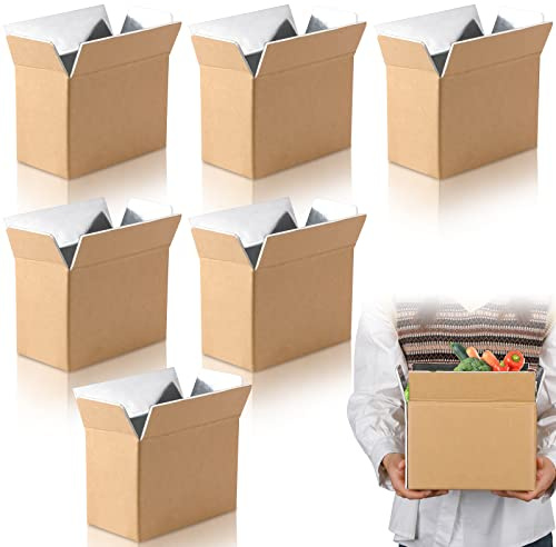 Insulated Shipping Box Cold Double Insulated Carton with Foil Foam Cooler Boxes Delivery Moving Kits Foam Shipping Containers for Mailing Packing, Box Inside 8.7'' x 4.5''x 6.1''(6 Pcs)