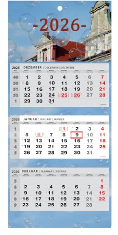 Kalender 2024 väggkalender 3-månaders kalender väggplanerare tremånadskalender (bubblor)