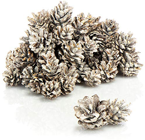 COM-FOUR® 30x Tannenzapfen in weiß - Pinienzapfen als Weihnachtsdekoration - Zapfen Deko - Streudeko - Bastel Set - Weihnachtsschmuck (30 Stück - weiß)