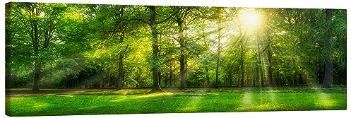 Forest panorama in summer Canvastavla