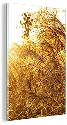 MuchoWow Glasbild Glasfoto Wandbild Bilder Deko 100x150 cm Pampasgras - Sonne - Gras