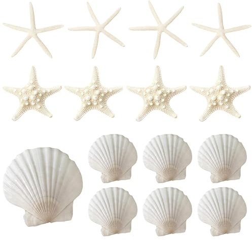 Cosmeria Conchiglie Decorazione & Stelle Marine Decorazione, 15 Pezzi Naturali Conchiglie Marine e Stelle Marine, Ideale per Decorazioni Matrimoniali, Feste in Spiaggia, Decorazioni per la Casa e