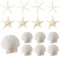Cosmeria Conchiglie Decorazione & Stelle Marine Decorazione, 15 Pezzi Naturali Conchiglie Marine e Stelle Marine, Ideale per Decorazioni Matrimoniali, Feste in Spiaggia, Decorazioni per la Casa e