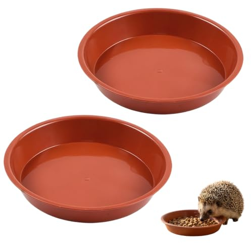Hedgehog Bowl for Food and Water Low-Profile Hedgehog Feeding Station