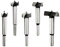 NOTOOLS Forstner Drill Bits,5 PCS Flat-Wing Woodworking Boring Bit Hole Saw Set HCS Drill Bit Sets for Drilling Wood