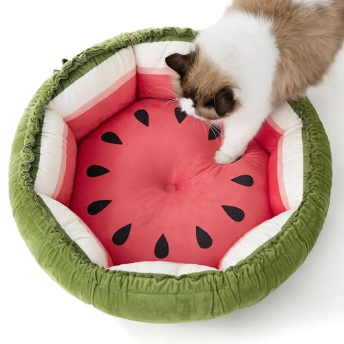 Lesure Katzenbett Waschbar - 53x53x18cm 2 in 1 Bettchen Mit Zweiseitig Innenkissen, Schlafplatz für Katzen oder Kleine Hunde, Wassermelone Rot