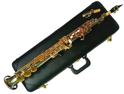 Professionell Saxofon Altsaxofon Nickel Silver Rak B klaviatur Med Fodral