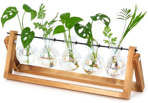 XXXFLOWER Desktop Propagation Station Propagators for Plants Cuttings Glass Plant Bulb Vase with Wooden Stand Glass Plant Pot and Metal Swivel Holder for Indoor Home Garden Wedding Décor (5 Bulbs)