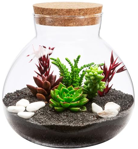 Happyyami Clear Round Glass Jar with Cork DIY Terrarium Kit for Fern and Fittonia Create Your Indoor Garden Centerpiece 15cm