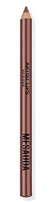 MESAUDA ARTIST LIPS 101 Fudge