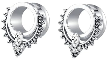 Wycian Plugs for Ears Gauges Silver, Stretching Kit 2G to 1 Inch 6mm Cubic Zirconia Stainless Steel Hollow with Cubic Zirconia for Prom Jewelry Gift