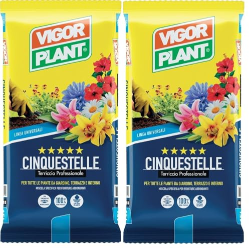 Terriccio Professionale CINQUESTELLE 40L (2 Confezioni da 20L) | Substrato Universale per Piante da Giardino | Terrazzo e Interno | Ricco di Nutrienti Completo | Ideale per Fiori, Ortaggi e Piante