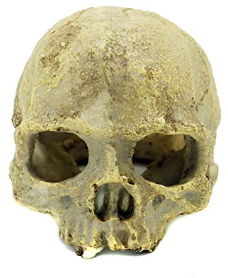 JIHAQUA Aquarium Resin Skull, Reptile Tank Accessories Ornament Basking Snake Hide Decor Habitat