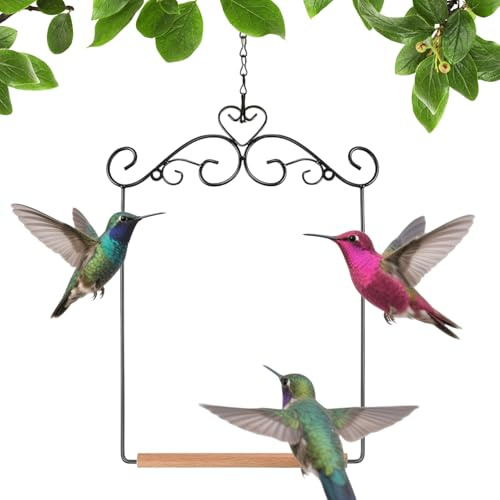 de pájaro | Estilo rústico resistente a la intemperie | Soporte de entrenamiento de aves | Para columpios canarios ondulados entrenamiento jardín balcón