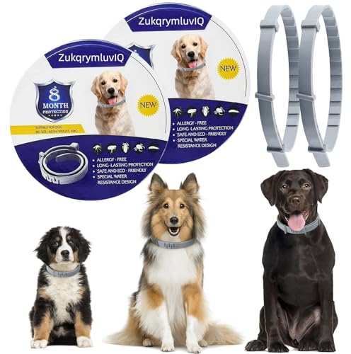 2 Pack Waterproof Dog Collar with Natural Essential Oils, 16-Month Protection, Adjustable & Comfortable, Prevents Infections for Dogs Over 7 Weeks – Long-Lasting & Safe Everyday Collar
