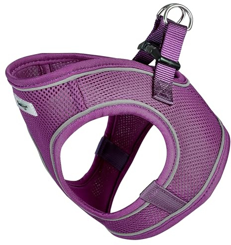 Bunty Voyage Dog Harness, Small - Anti Pull, Escape Proof Harness, Lightweight & Durable, Reflective Trim, Breathable Padded Mesh, Easy Fit, Lead Attachment - Small, Purple