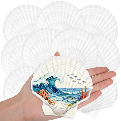 Wirow 10 PCS Natural White Scallop Shells 10-12CM Seashells for Crafting | Natural Seashells from Beach for Crafts Wedding Decor Beach Theme Party, Fish Tank and Vase Filler