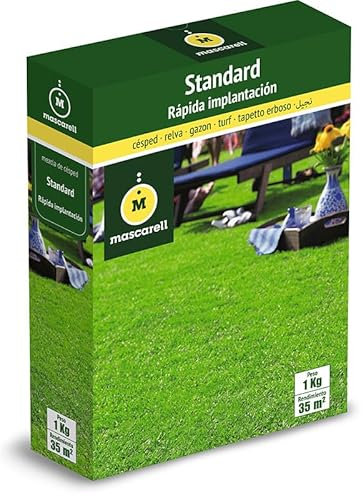Mascarell Semillas, STANDARD, Semillas de Césped, Verde y Duradero, Compacto y Resistente