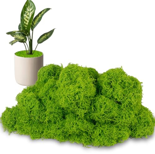 ACRYCS Fake Moss for Potted Plants Indoor 10.6OZ Decorative Artificial Moss for Crafts Emerald Green Faux Moss for Fairy Garden Model Making Table Centerpieces Wedding Party Decor Glass Containers DIY