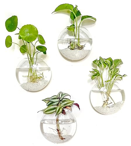 Kingbuy Lot de 4 Pots de Fleurs en Verre à Suspendre - Vases muraux ovales pour Plantes hydroponiques d'intérieur, Salle de Bain, Salon, Bureau, Cadeau pour Femme, Maman, Amoureux des Plantes