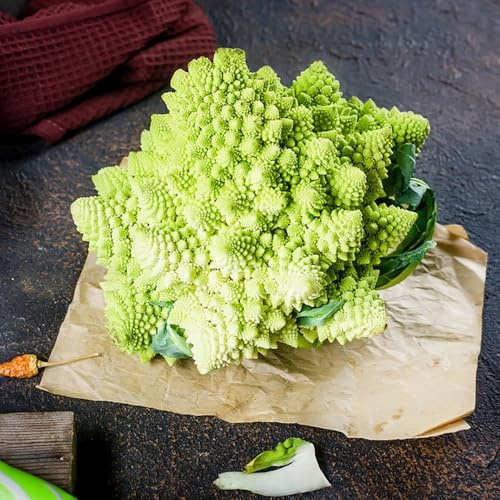 semi di cavolfiore varietà esotiche antichi biologici, antiche 400pcs