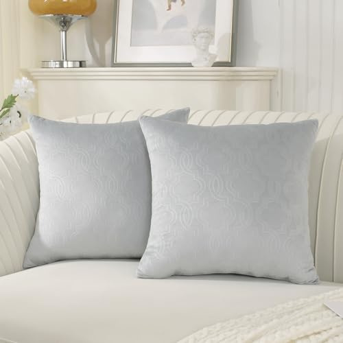 Ystyle Funda Cojin Sofa 60x60 Decorativa Hogar de Terciopelo para Salon Cama Jardin Dormitorio Cojines Decorativos de 2 Fundas para Almohadones Cojin Silla con Cierre Modernos, Gris Plata