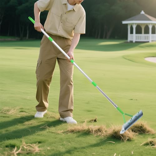 Rastrillo de fieltro de césped, herramienta de jardín para la limpieza de fieltro de césped, rastrillo de césped, altura ajustable, peso ligero, mango ergonómico, para jardín, césped, hojas, 170 cm