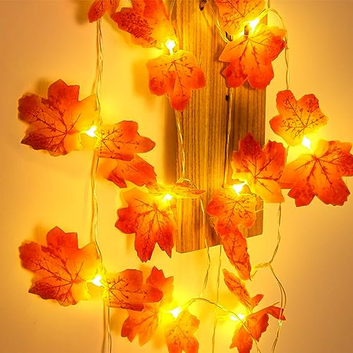 Dalugo Autumn Maple Leaf Lights, 10ft 20 LED Battery Powered Double Maple Leaves Fairy Lights with 6h Timer for Autumn Fall Decorations, Thanksgiving, Halloween, Christmas