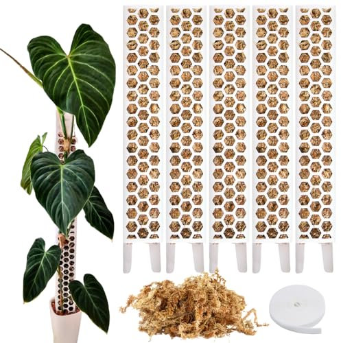 Moosstab für Monstera Rankhilfe Zimmerpflanzen Zubehör Set - 5 x Pflanzstäbe, Pflanzen Klettband & Moos - Optimiert für Aroiden - Kletterpflanzen Befestigung - 35 x 6 cm - Set (Weiß)