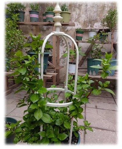 Traliccio Giardino Piante Rampicanti, Obelisco Da Prato Supporto In Metallo Obelisco Torre Per Rose Pianta In Vaso Resistente Al Sole E All'acqua 90cm/120cm/150cm/180cm High ( Color : Bianca , Size :