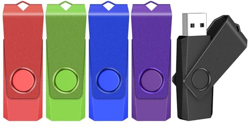 TEWENE Clé USB 8 Go Lot de 5, Clé USB 2.0 pour Le Transfert de Fichiers et Le Stockage de Données, avec Cordon et Autocollant