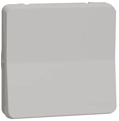 Schneider Electric - Mureva Styl - Interrupteur bipolaire - composable - IP55 - IK08 - blanc - MUR39033