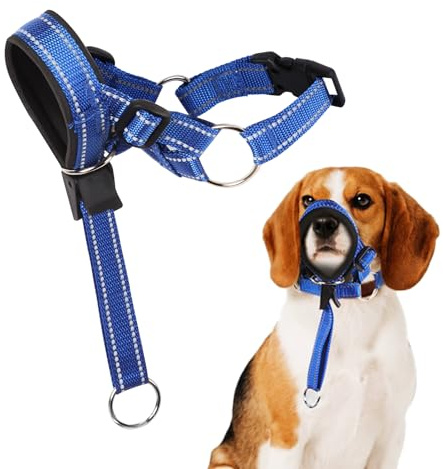 Dog Head Collar with Safety Strap, Dog Headcollar to Stop Pulling, Anti Biting, Adjustable Head Harness for Dogs, Padded Nose Band (M)