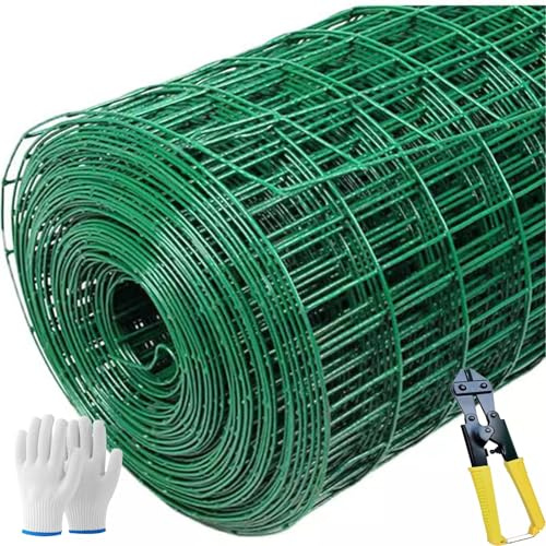 Valla de malla de alambre de 6 x 6 cm de diámetro, ideal para proteger plántulas, verduras, frutas y plantas (1 x 30 m)