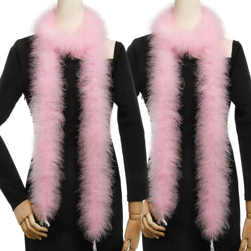 Holmgren Marabou Feather Boa for Costume Party Decor, 2 Pcs 25g 2 Yards | Feathers Boa for Christmas Wreaths, Tree Decor, Party Dress Up, Halloween Costumes, Home Wedding Decorations