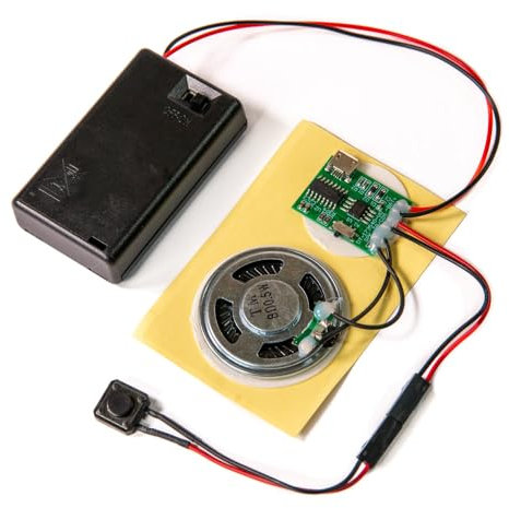 Talking Products, Módulo de Chip de Sonido MP3, Memoria de 4 MB, con Caja de Pilas AAA. CREA Tus Propios Regalos Personalizados, Modelos para Accesorios de Cosplay (pulsador)