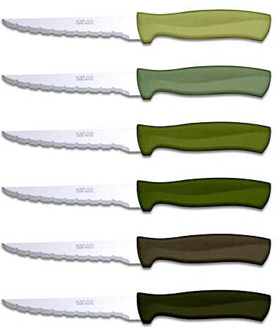 TB Groupe - Set de 6 Couteaux à Steak Record - Lames en Acier INOX - Manches en ABS, Couleurs Assorties - Fabriqués en France - Vert