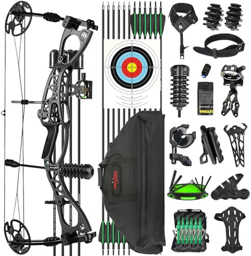 ZSHJGJR Bogenschießen Compoundbogen Set 0-70lbs Bogen und Pfeil jagdbogen compoundbögen für Rechtshand Linkshand Komplett Set Bogen Jagd Anfänger Erwachsene (Set 2 - Schwarz)