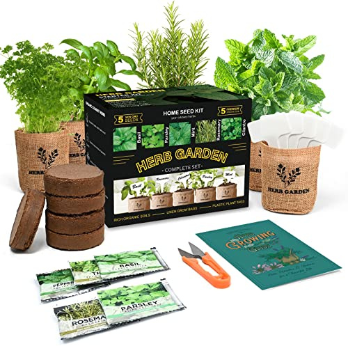 Meekear Starter kit da giardino per erbe aromatiche, set completo per piantare erbe aromatiche da giardino, fai da te e regalo