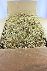 Shorefields Supplies, Meadow Hay Box, 8kg, Premium Quality Fresh Grass for Small Pets