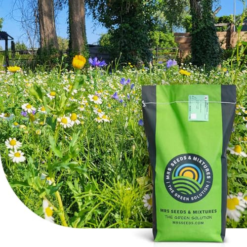 MRS Flower Field : Semences de gazon avec fleurs - 1 kg pour 200 m² - Pelouse diversifiée avec 29 fleurs sauvages - Attire abeilles et autres pollinisateurs