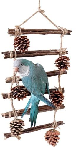 Scala per uccelli per pappagalli, posatoi in legno per gioco e arrampicata, giocattolo per pappagalli, parrocchetti e parrocchetti, per casa, giardino, terrazza