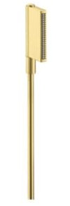 hansgrohe AXOR One teleducha 2jet, 45720950, Color: Brushed Brass
