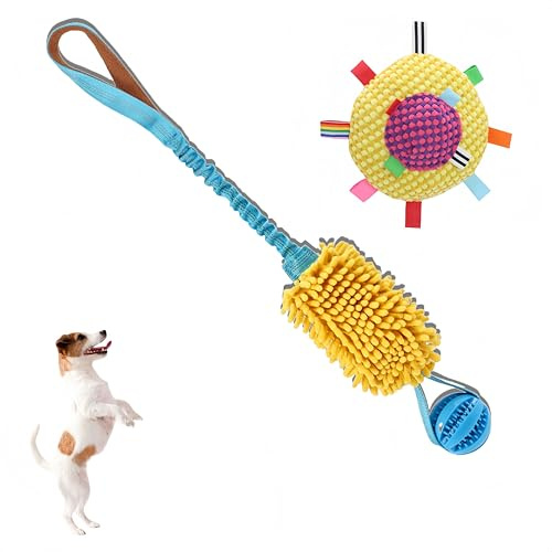 Whoolon Hundespielzeug-Set - ETPU Flying Ring & Durable Tug Rope, Interaktives Kauspielzeug für Kleine Mittlere Hunde, Schwimmender Trainingsring & Zugseil für Outdoor Spielen und Übung