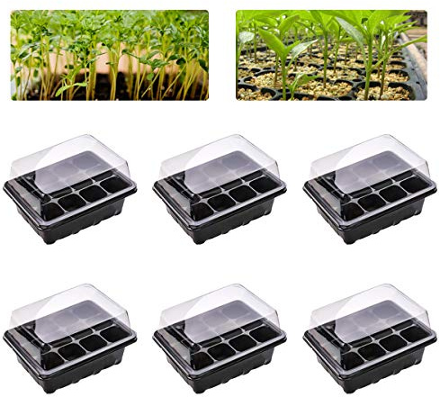 BoloShine 6 Stück Gewächshaus Anzucht Schale Töpfe, Zimmergewächshaus Kunststoff anzuchtschalen setzling Starter tabletts mit 12 Pflanzlöchern und Deckel, Pflanzkasten für die Wohnung