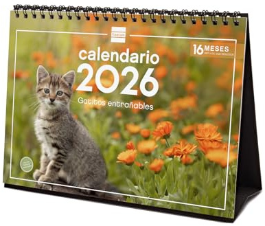 Finocam - Calendrier de bureau 2026 Vue mensuelle Janvier - Décembre 2026 + Sep.- Déc. 2025 (4 mois) réduits | Calendrier 2026 | Images de chatons - Espagnol
