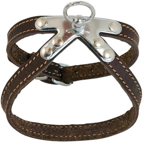 JACK AND VANILLA, Imbracatura in Pelle Marrone Resistente per Animali, vestibilità Personalizzata, Sicurezza Rinforzata, Facile da Mantenere, 10 mm di Larghezza x 40 cm di Lunghezza, Colore Marrone,