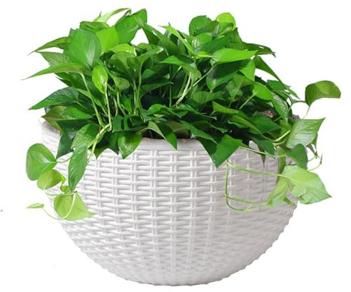 Vaso Da Fiori Sospeso A Parete In Finto Rattan - Vasi Da Fiori Da Appendere Alla Parete, In Plastica | Vaso Da Fiori Creativo A Semicerchio | Portapiante Gancio Per Balcone Recinto Fioriere A Muro