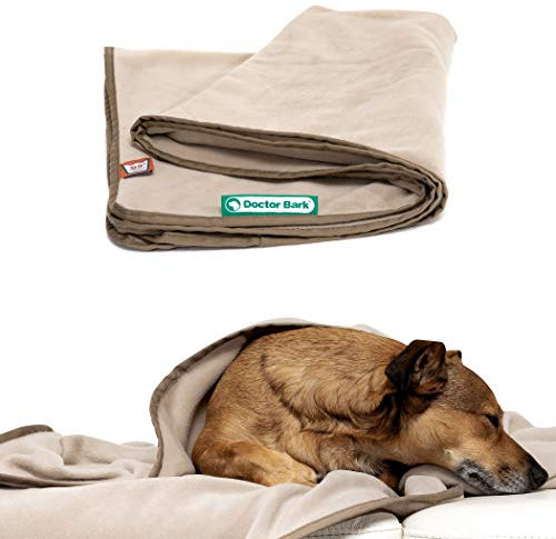 Doctor Bark | kuschelige Hundedecke waschbar bis 95°C, hygienische, weiche Fleecedecke für Sofa und Hundebett, Flauschige Haustierdecke - Made in Germany (L - 120x90 cm/Beige)